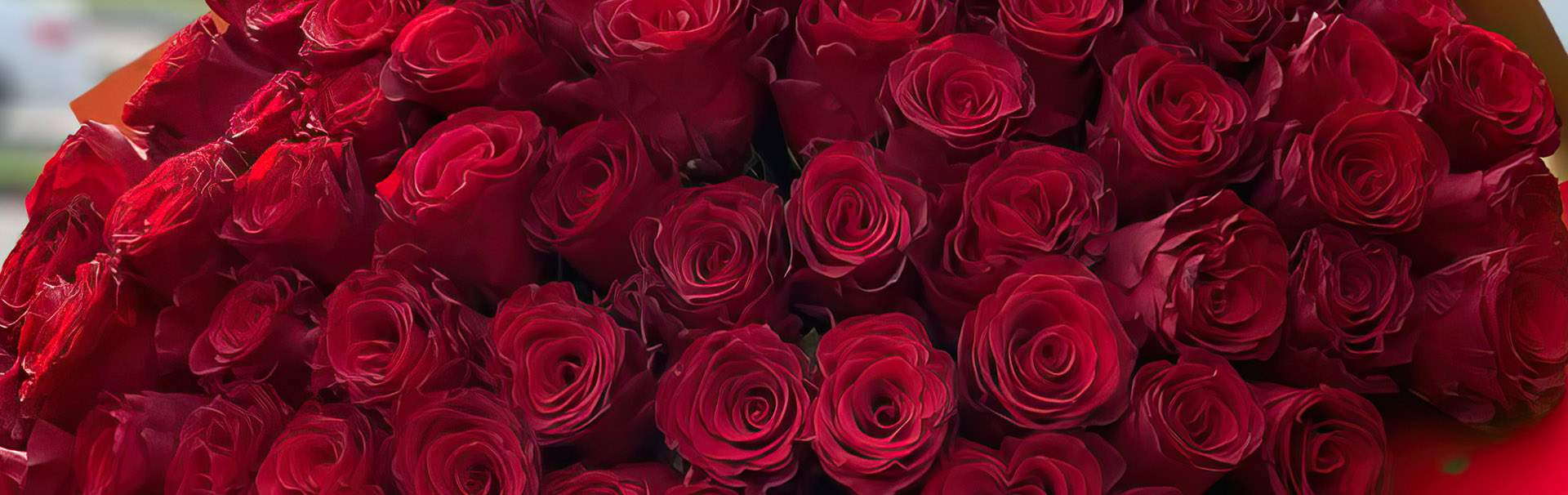 розы в букетах, красные, белые, Джумилия