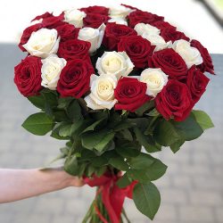 букет 33 троянди червоні та білі фото
