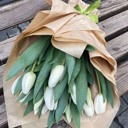 11 білих тюльпанів фото букета