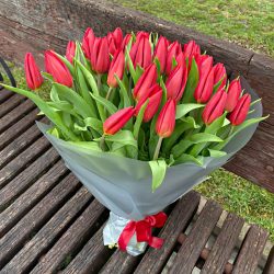 букет 49 червоних тюльпанів