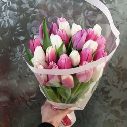 букет 25 білих і рожевих тюльпанів