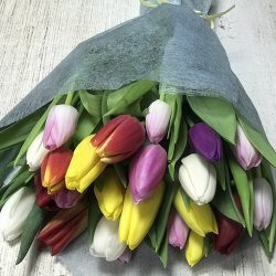 25 тюльпанів (всі кольори) фото букета