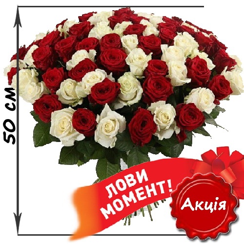 Фото товару 101 троянда мікс червона і біла (50 см)