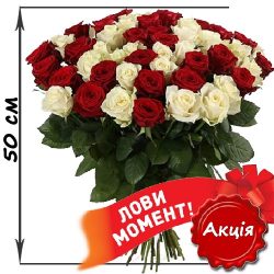 Фото товару 51 троянда червона та біла (50 см)