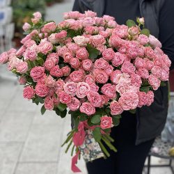 Фото товару 33 піоноподібні троянди